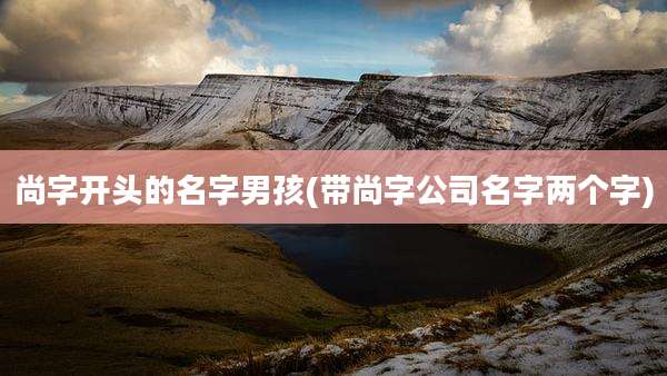 尚字开头的名字男孩(带尚字公司名字两个字)