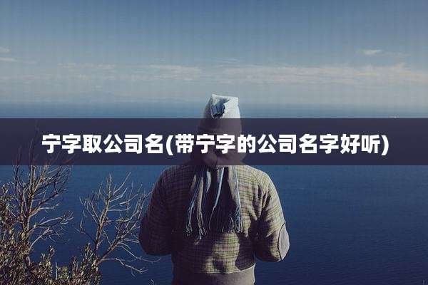 宁字取公司名(带宁字的公司名字好听)