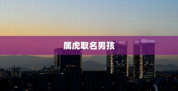 属虎取名男孩