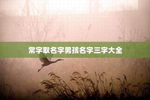 常字取名字男孩名字三字大全