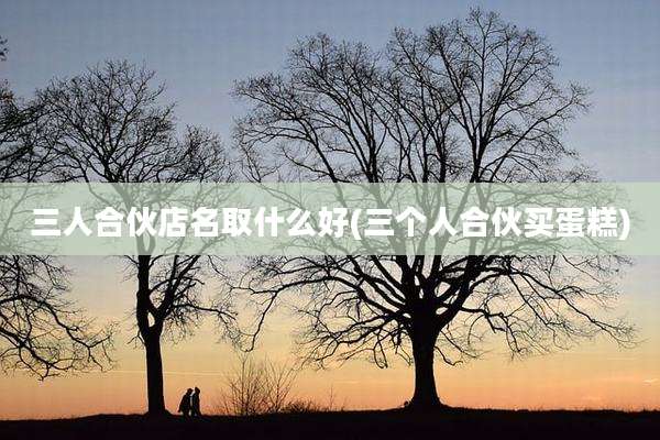 三人合伙店名取什么好(三个人合伙买蛋糕)