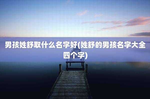 男孩姓舒取什么名字好(姓舒的男孩名字大全四个字)