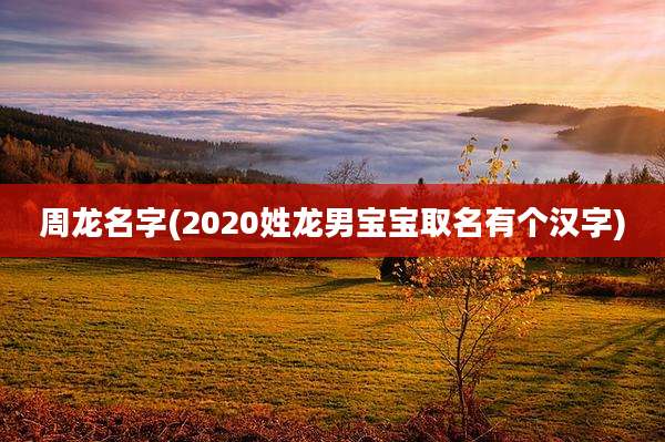 周龙名字(2020姓龙男宝宝取名有个汉字)