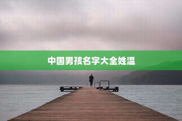中国男孩名字大全姓温