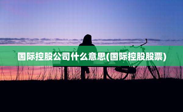 国际控股公司什么意思(国际控股股票)