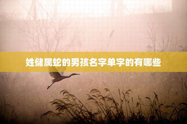 姓储属蛇的男孩名字单字的有哪些