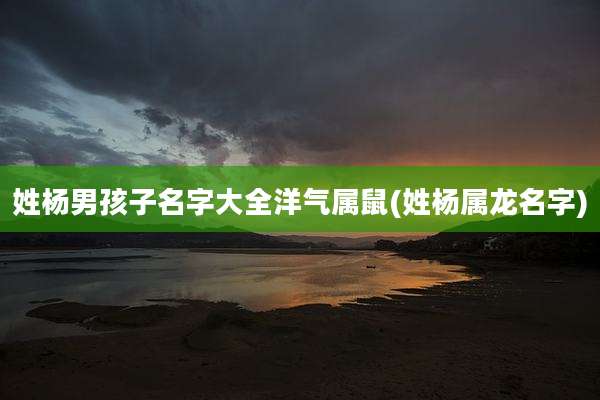 姓杨男孩子名字大全洋气属鼠(姓杨属龙名字)