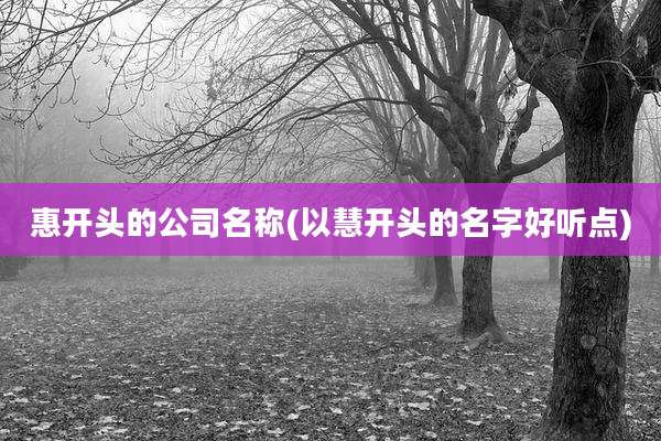 惠开头的公司名称(以慧开头的名字好听点)