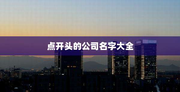 点开头的公司名字大全