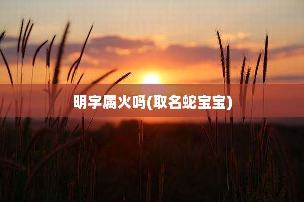明字属火吗(取名蛇宝宝)