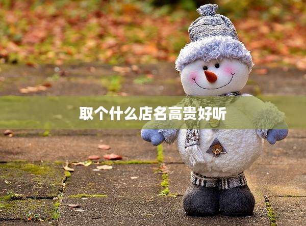 取个什么店名高贵好听