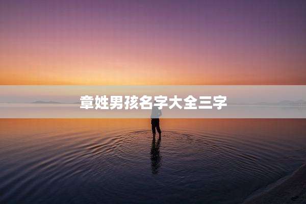 章姓男孩名字大全三字