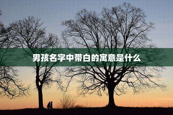 男孩名字中带白的寓意是什么