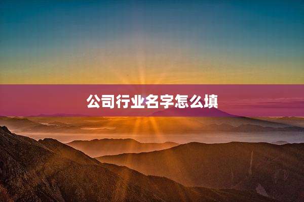 公司行业名字怎么填