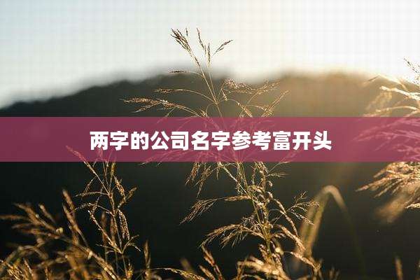 两字的公司名字参考富开头