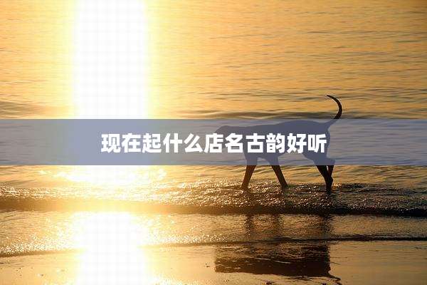 现在起什么店名古韵好听