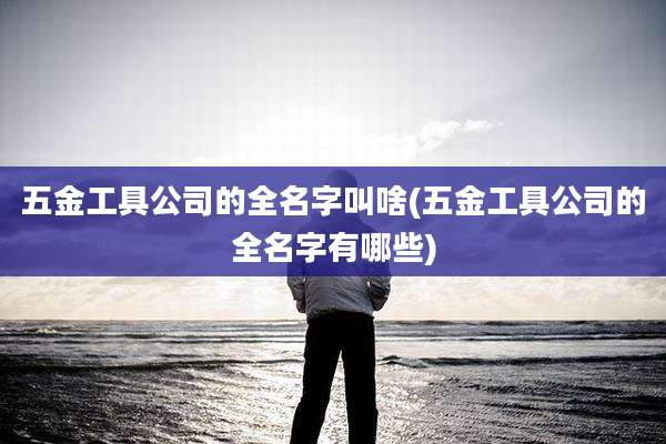 五金工具公司的全名字叫啥(五金工具公司的全名字有哪些)