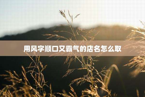 用风字顺口又霸气的店名怎么取