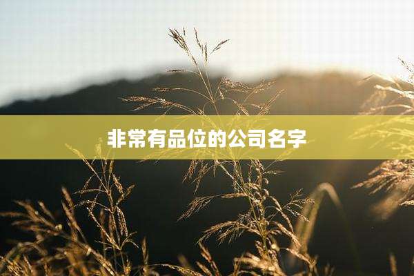 非常有品位的公司名字