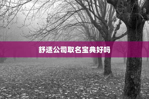 舒适公司取名宝典好吗