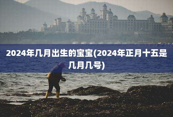 2024年几月出生的宝宝(2024年正月十五是几月几号)