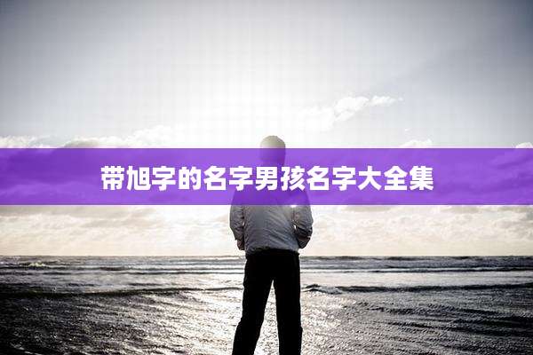 带旭字的名字男孩名字大全集
