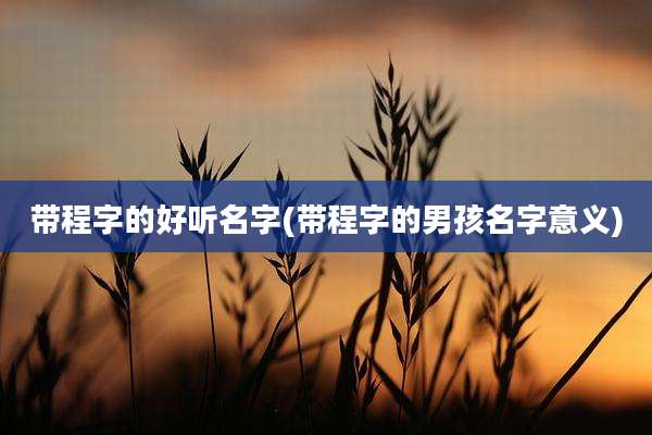 带程字的好听名字(带程字的男孩名字意义)