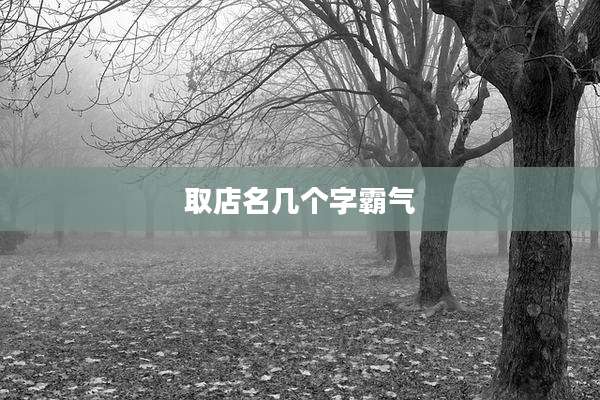 取店名几个字霸气