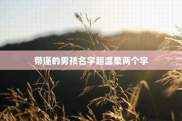 带谨的男孩名字超温柔两个字