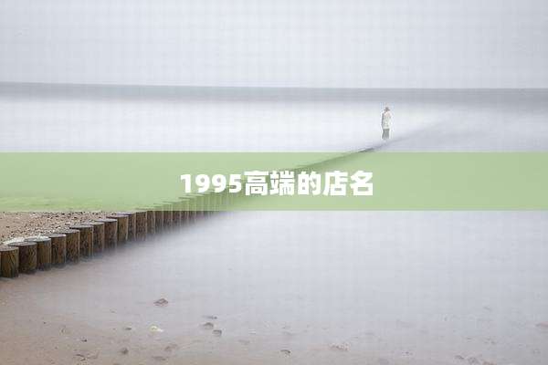 1995高端的店名