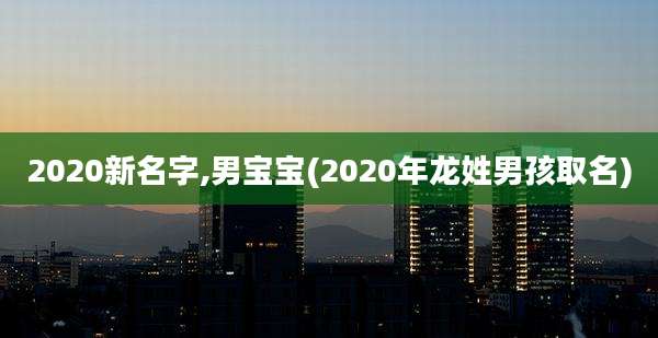 2020新名字,男宝宝(2020年龙姓男孩取名)