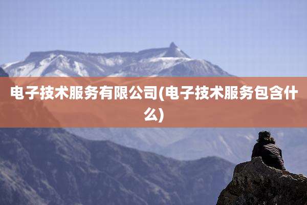 电子技术服务有限公司(电子技术服务包含什么)