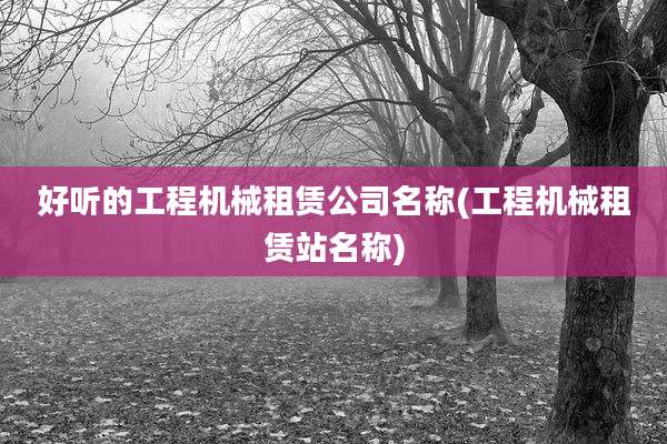 好听的工程机械租赁公司名称(工程机械租赁站名称)