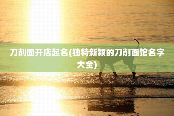 刀削面开店起名(独特新颖的刀削面馆名字大全)