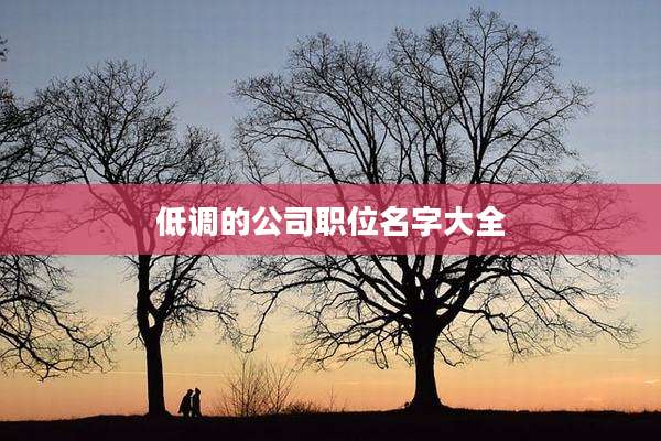 低调的公司职位名字大全