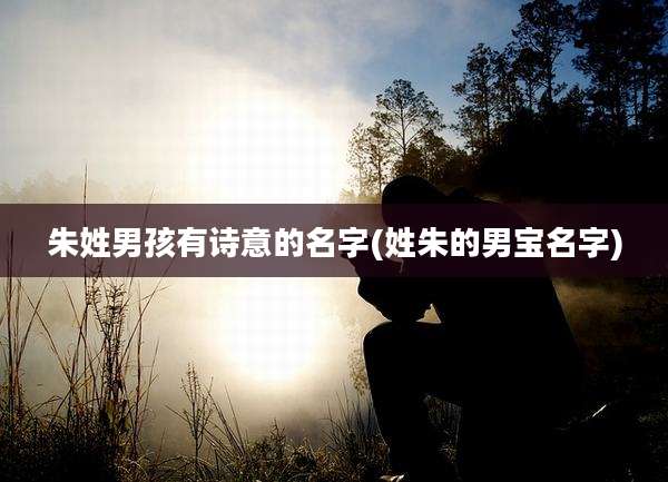 朱姓男孩有诗意的名字(姓朱的男宝名字)