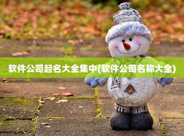 软件公司起名大全集中(软件公司名称大全)