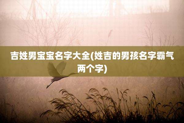 吉姓男宝宝名字大全(姓吉的男孩名字霸气两个字)