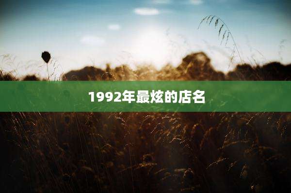 1992年最炫的店名