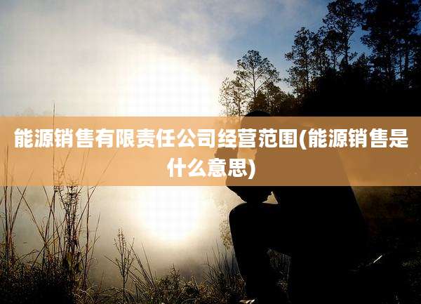 能源销售有限责任公司经营范围(能源销售是什么意思)