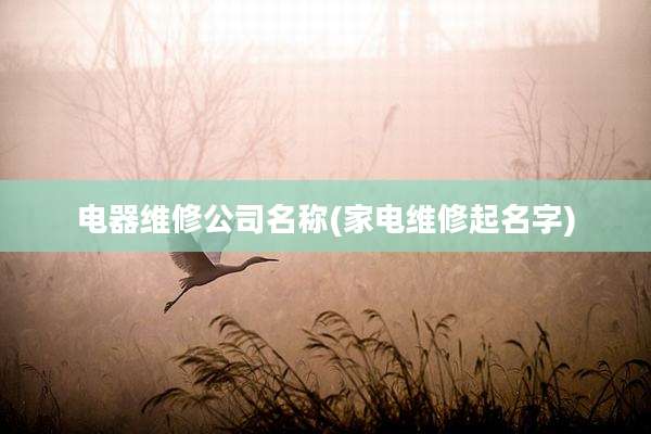 电器维修公司名称(家电维修起名字)