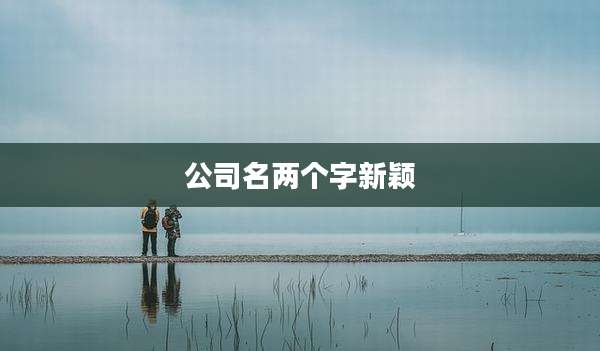 公司名两个字新颖