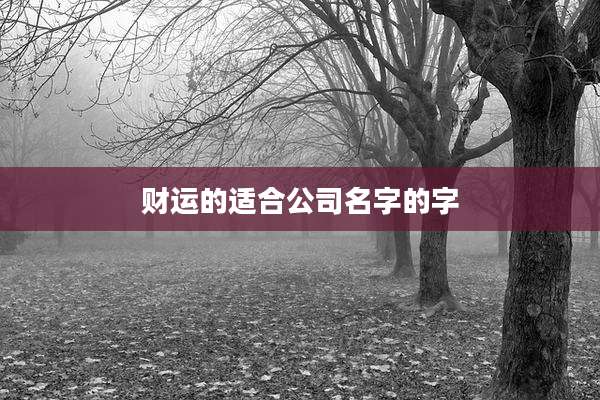 财运的适合公司名字的字