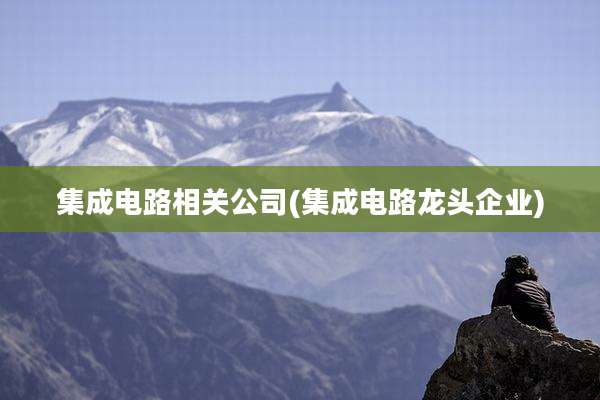 集成电路相关公司(集成电路龙头企业)