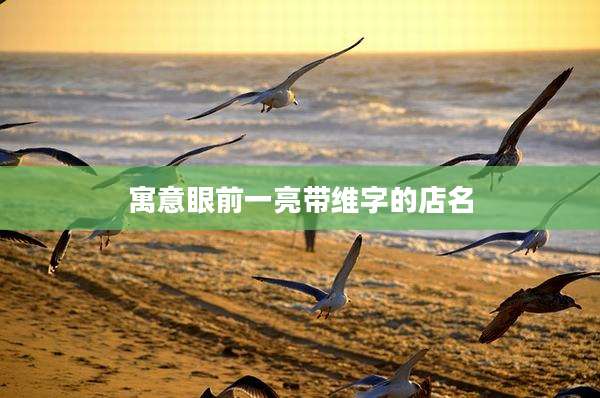 寓意眼前一亮带维字的店名