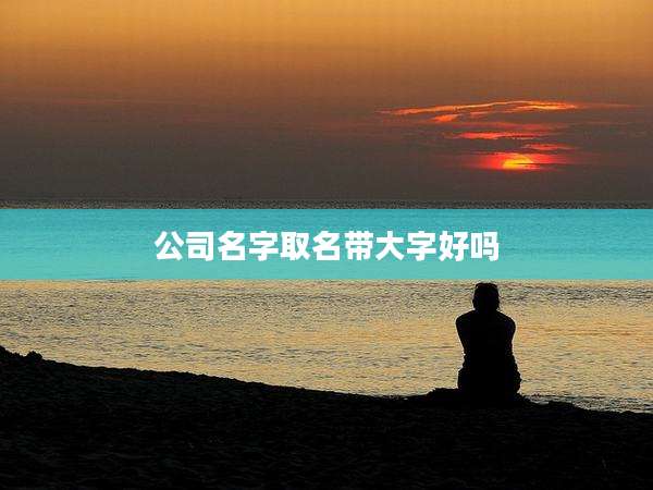 公司名字取名带大字好吗