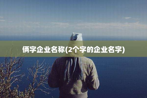 俩字企业名称(2个字的企业名字)