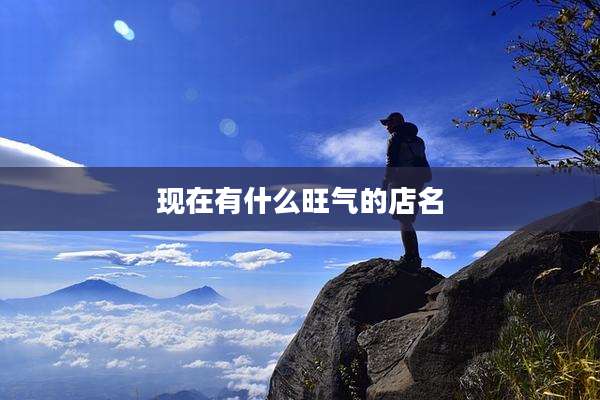 现在有什么旺气的店名