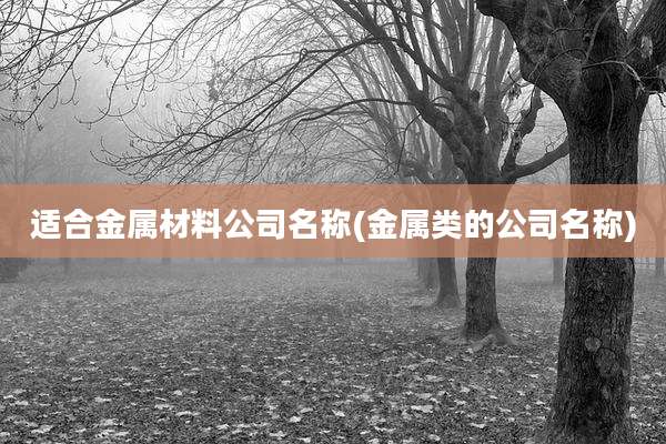 适合金属材料公司名称(金属类的公司名称)