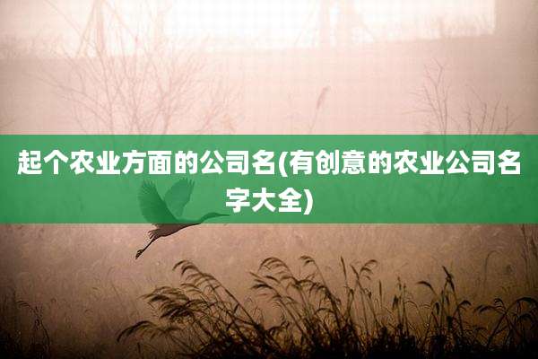 起个农业方面的公司名(有创意的农业公司名字大全)